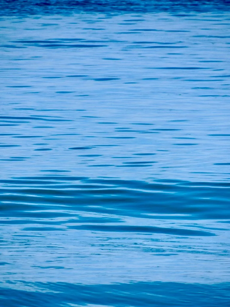 06E04E39 E0FC 4D79 9252 26EF21DFA764 1 201 a