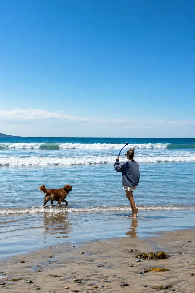 A woman playing with her golden retriever on a beach