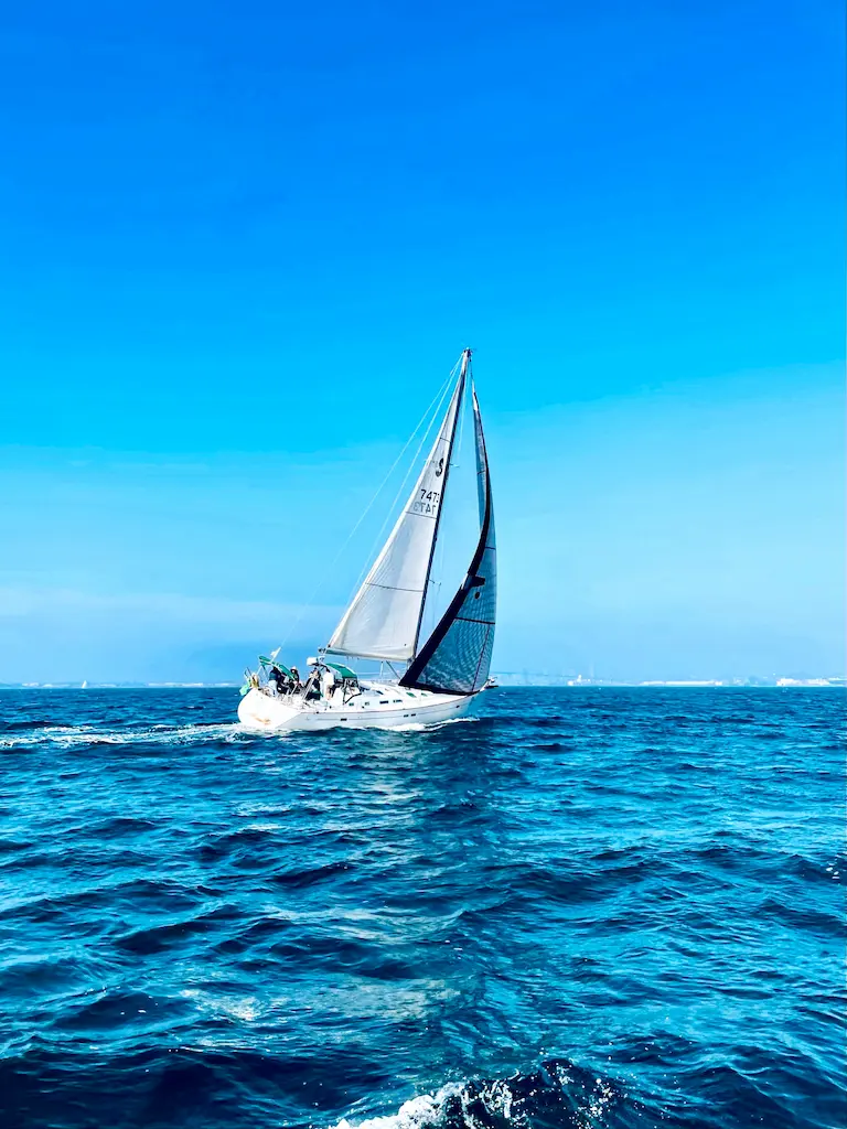 A white sailboat heels under full sail while crossing deep blue coastal water.