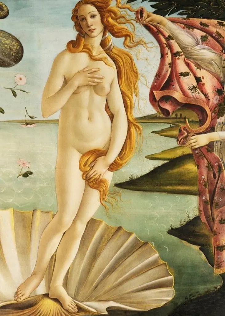 Detail from Sandro Botticelli's The Birth of Venus, showing Venus standing on a shell emerging from the sea.